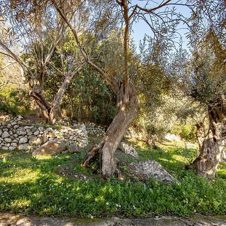 Casa vacanze Forti Retreat Kariótai