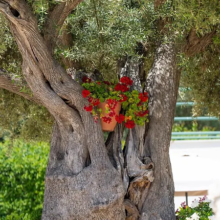 Forti Retreat Σπίτι διακοπών Kariótai