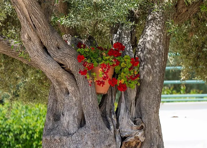 Forti Retreat Nyaraló Kariótai